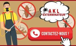 Avantages d’engager un exterminateur à Laval